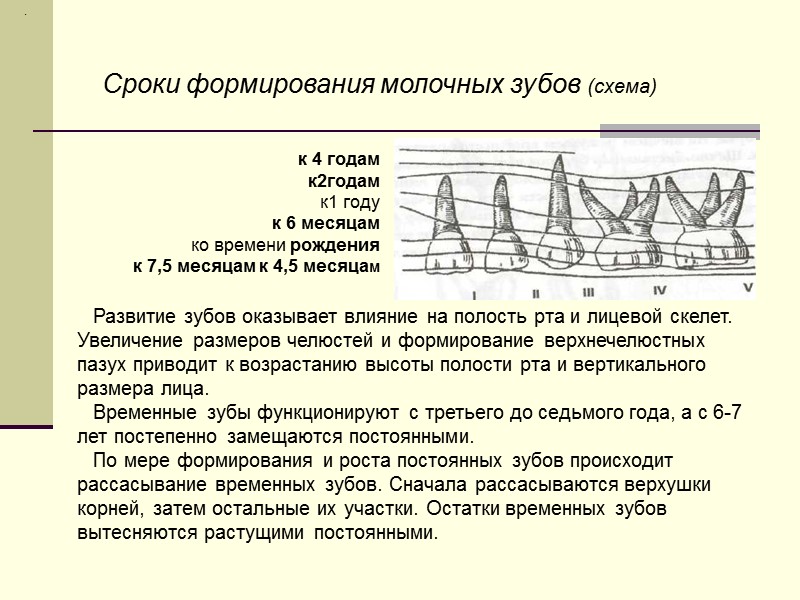 . к 4 годам к2годам к1 году к 6 месяцам ко времени рождения к